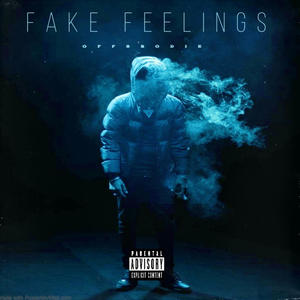 FAKE FEELINGS (Explicit)