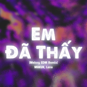 Em Đã Thấy (Melosy EDM Remix)