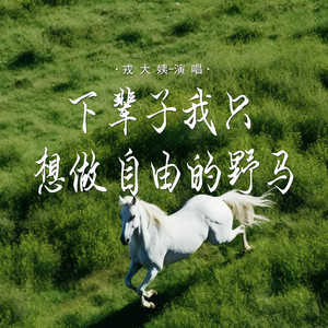 下辈子我只想做自由的野马