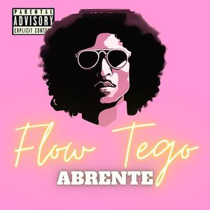 Flow Tego (feat. Noize Burner) (Explicit)