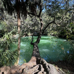 Thinking... (feat. Onlyblade) (Explicit)