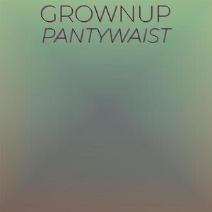 Grownup Pantywaist