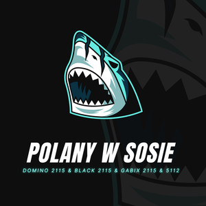 Polany W Sosie (Explicit)