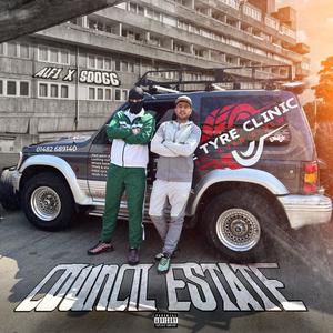 Council Estate (feat. S Dog) (Explicit)