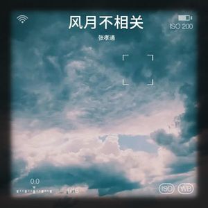 江湖夜雨十年灯-张孝通