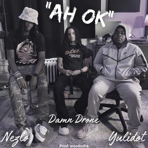AH OK (feat. damn drone & yulidot) (Explicit)