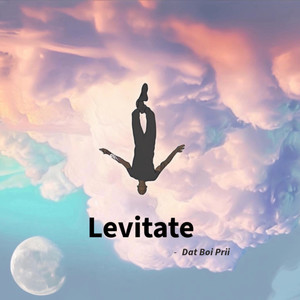Levitate (2.0|Explicit)