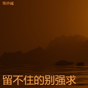 留不住的别强求 (遗憾版)