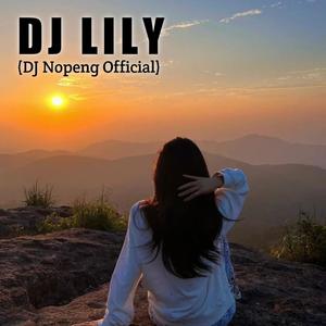 Dj Lily (Remix)