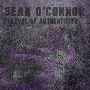 Level Of Authenticity