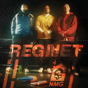 REGNET (Explicit)