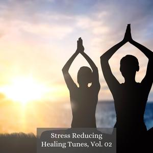 Stress Reducing Healing Tunes, Vol. 02