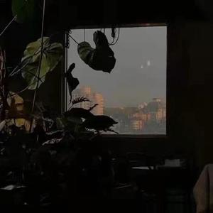 达尔文封面