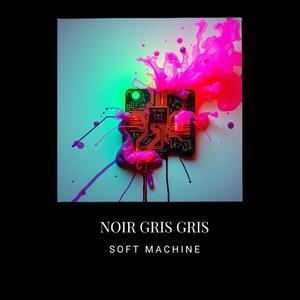 Noir Gris Gris - Soft Machine (Explicit)