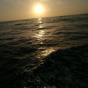 Kurtis - What you see