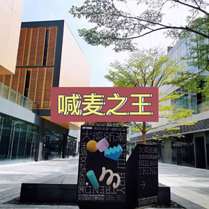 白山茶 (异域版)