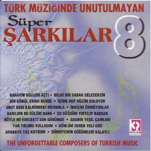Türk Müziğinde Unutulmayan Süper Şarkılar 8