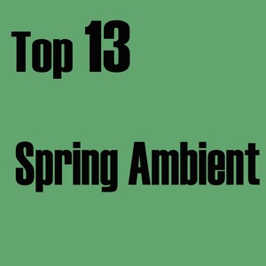 Top 13 Spring Ambient