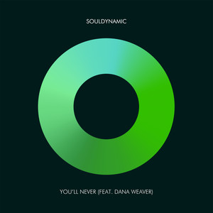 You'll Never (DJ Spen & Reelsoul Instrumental)