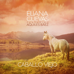 Caballo Viejo