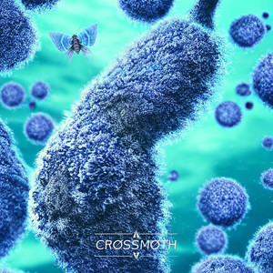 My Horizon (Explicit)