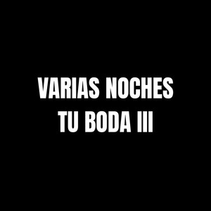 Varias Noches Tu Boda III