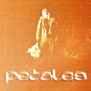 Pétales (feat. Digitel) [Explicit]