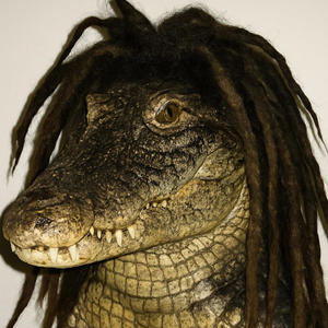 Telescope (Explicit)