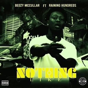 Nothing Like (feat. Raining Hundreds) (Explicit)