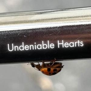 Undeniable Hearts