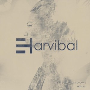 Tension Groove (Original Mix)