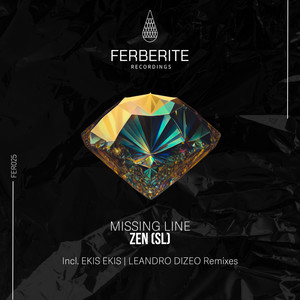 Missing Line (Leandro Dizeo Remix)