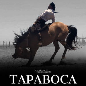 Tapaboca