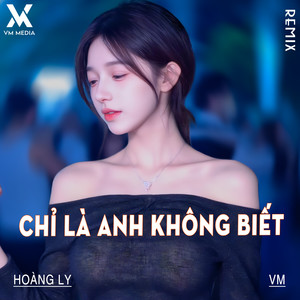 Chỉ Là Anh Không Biết (Remix)