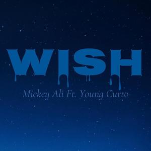 Wish (feat. Young Curto)