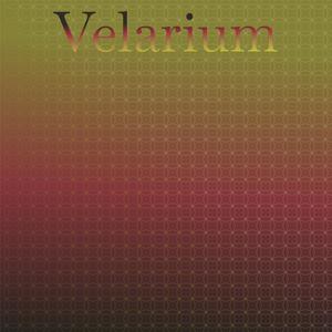 Velarium