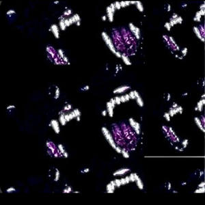 FUXKAB!TXH (Hard Memphis Type Beat ) (Instrumental)