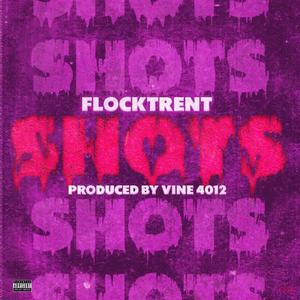 SHOTS (feat. FlockaTrent) [Explicit]