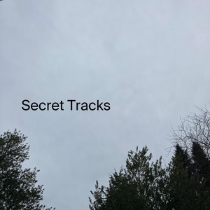 Secret Tracks (Explicit)