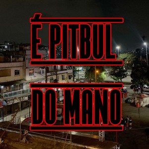 É PITBUL DO MANO (Explicit)
