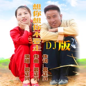 想你想你不要走 (DJ版)