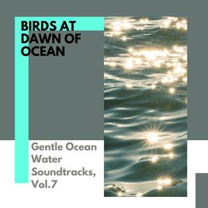 Birds at Dawn of Ocean - Gentle Ocean Water Soundtracks, Vol.7