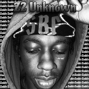 Z2 Unknown (Explicit)