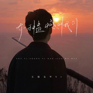 王保长Wbz《有你很好没你也可以》[MP3_LRC]_MP3免费下载