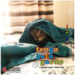 Tengo un Gato Gordo (Luckies Dark Tiger Mix)