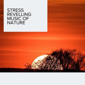 Stress Revelling Music of Nature