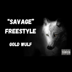 Savage Freestyle snippet (Explicit)