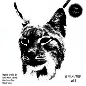 Tell Me This (Original Mix)