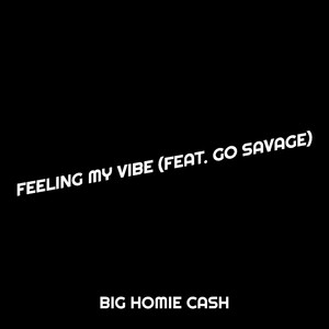 Feeling My Vibe (Explicit)