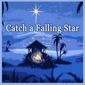 Catch A Falling Star